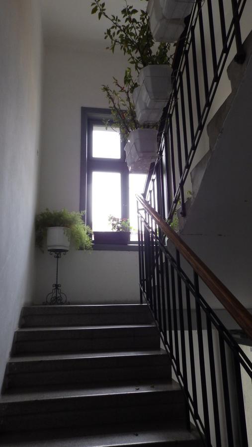 Jelena Apartment Belgrado Esterno foto