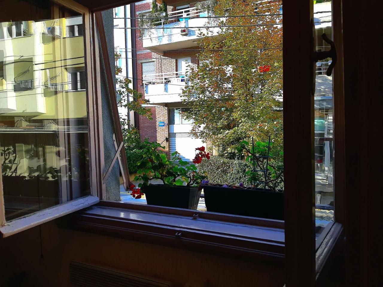 Jelena Apartment Belgrado Esterno foto
